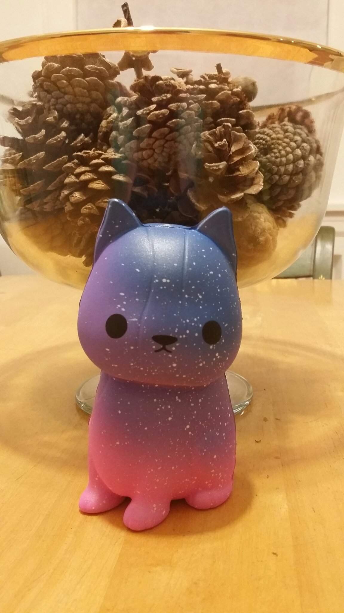 galaxy cat squishy