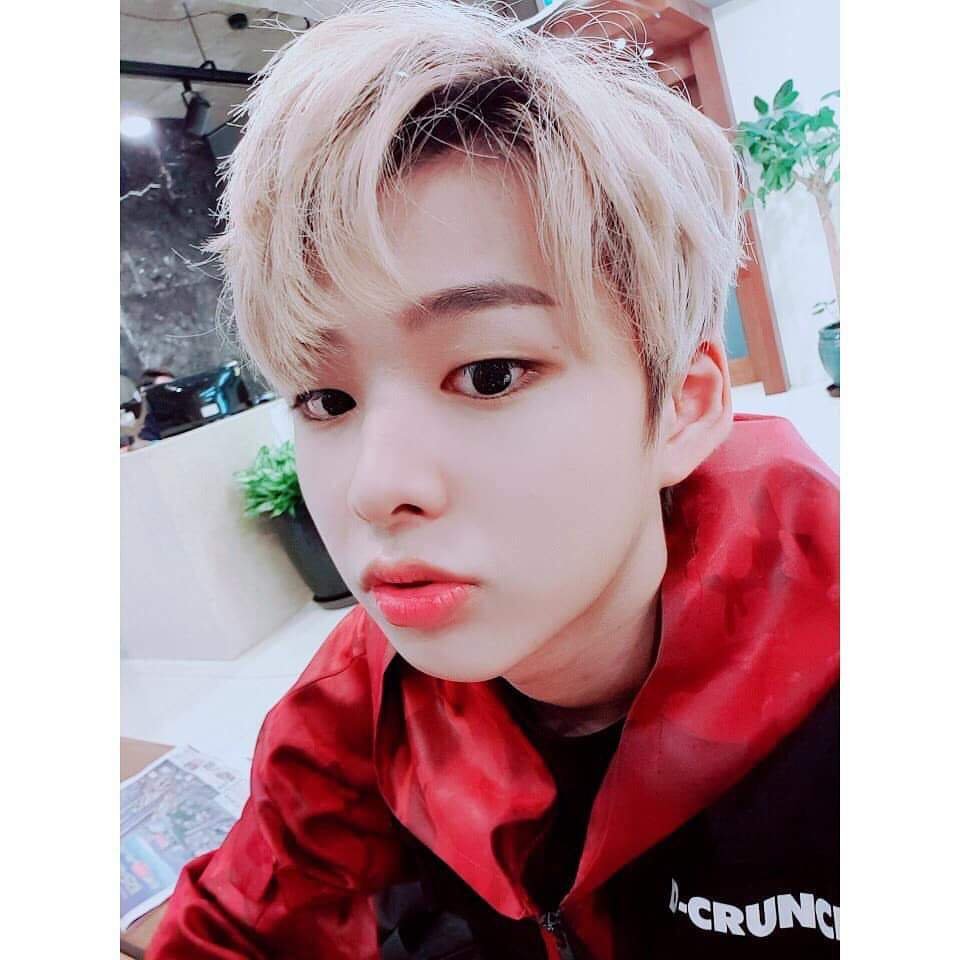 D-Crunch - Dylan | K-Pop Amino
