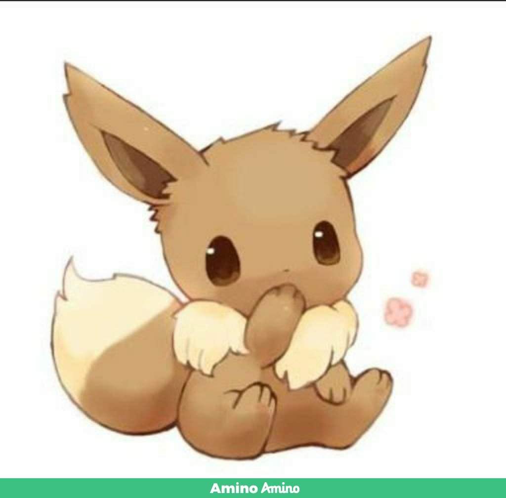 Baby Eevee Girl Wiki Pokémon Amino