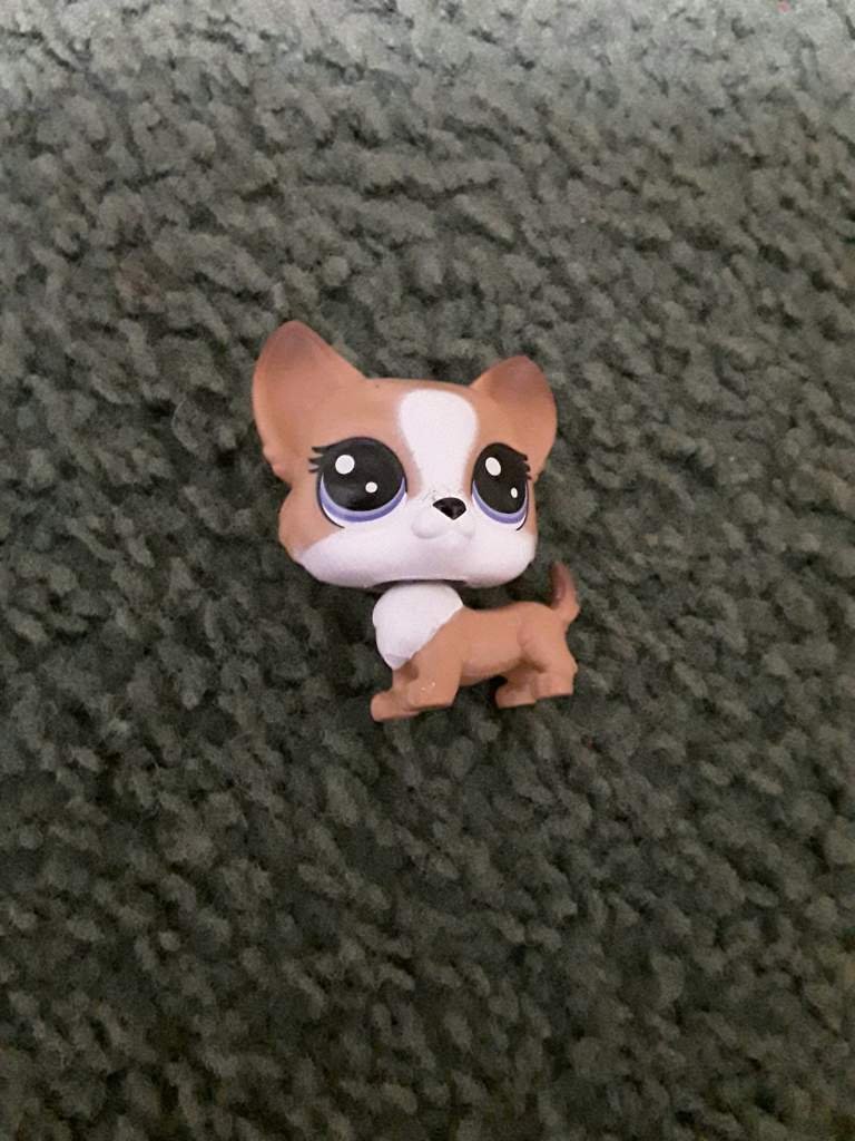 Where Did It Go? The Chloe Lps Mystery Solved - z2gs50c