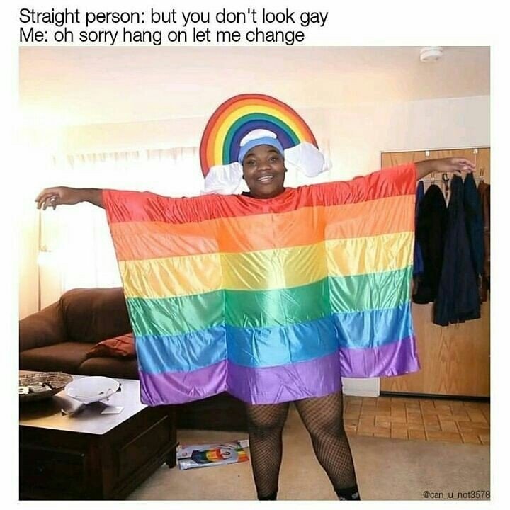rainbow funny gay memes