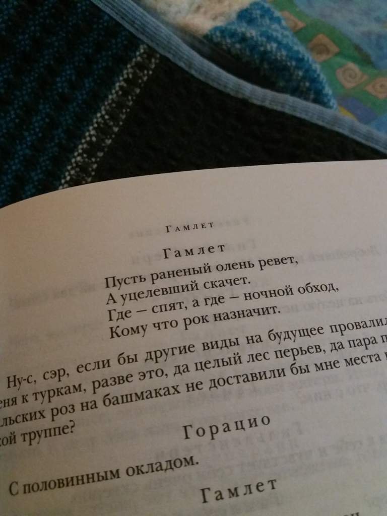 Цитаты из "Гамлета" | Литература{RUS} Amino