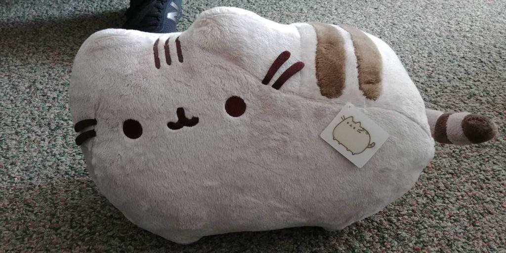 Big Pusheen!! 