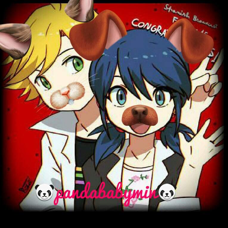 Catalyst Cap. Completo | •Miraculous Ladybug Español• Amino