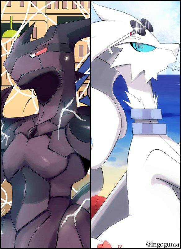 Reshiram And Zekrom Pokemon Amino