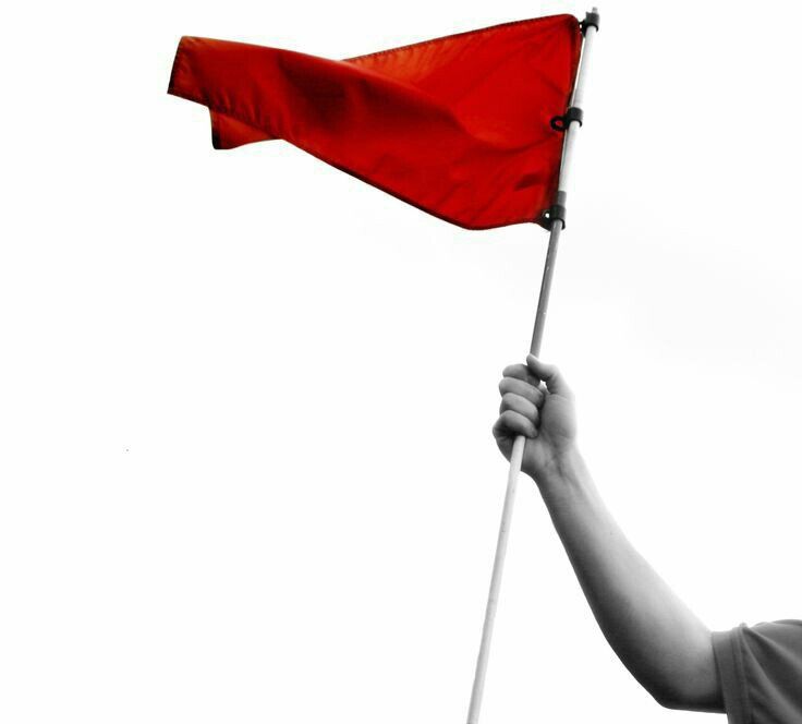 ⊰ The Red Flag ⊱ "Follow the rules. 