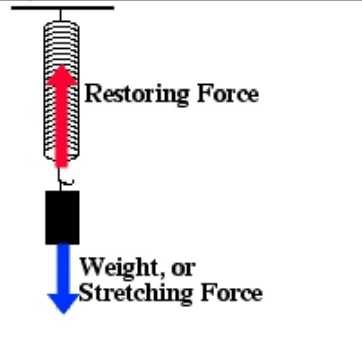 restoring-force-school-amino