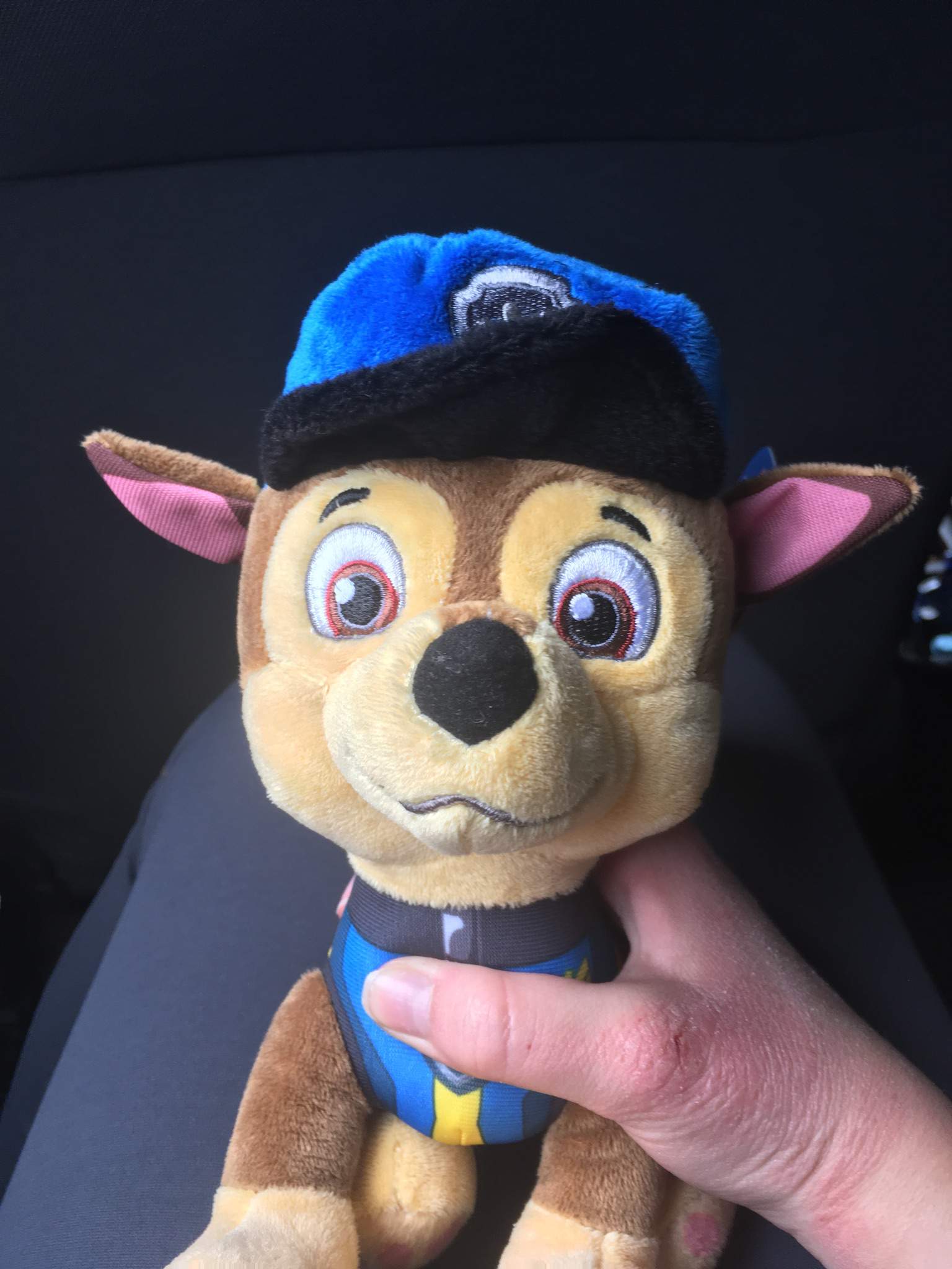 Just Adopted A Chase Plushie! 