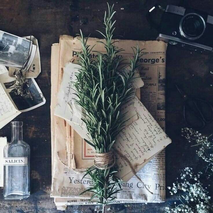 Sopophorous Wiki Harry Potter Studios. Amino