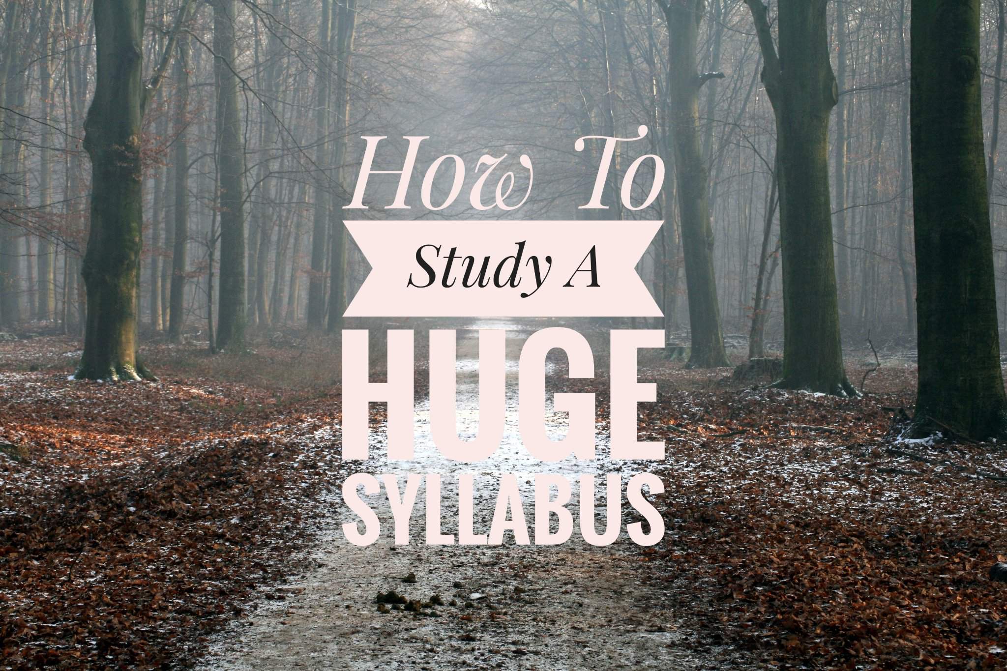 how-to-study-a-huge-syllabus-at-a-considerably-short-period-of-time