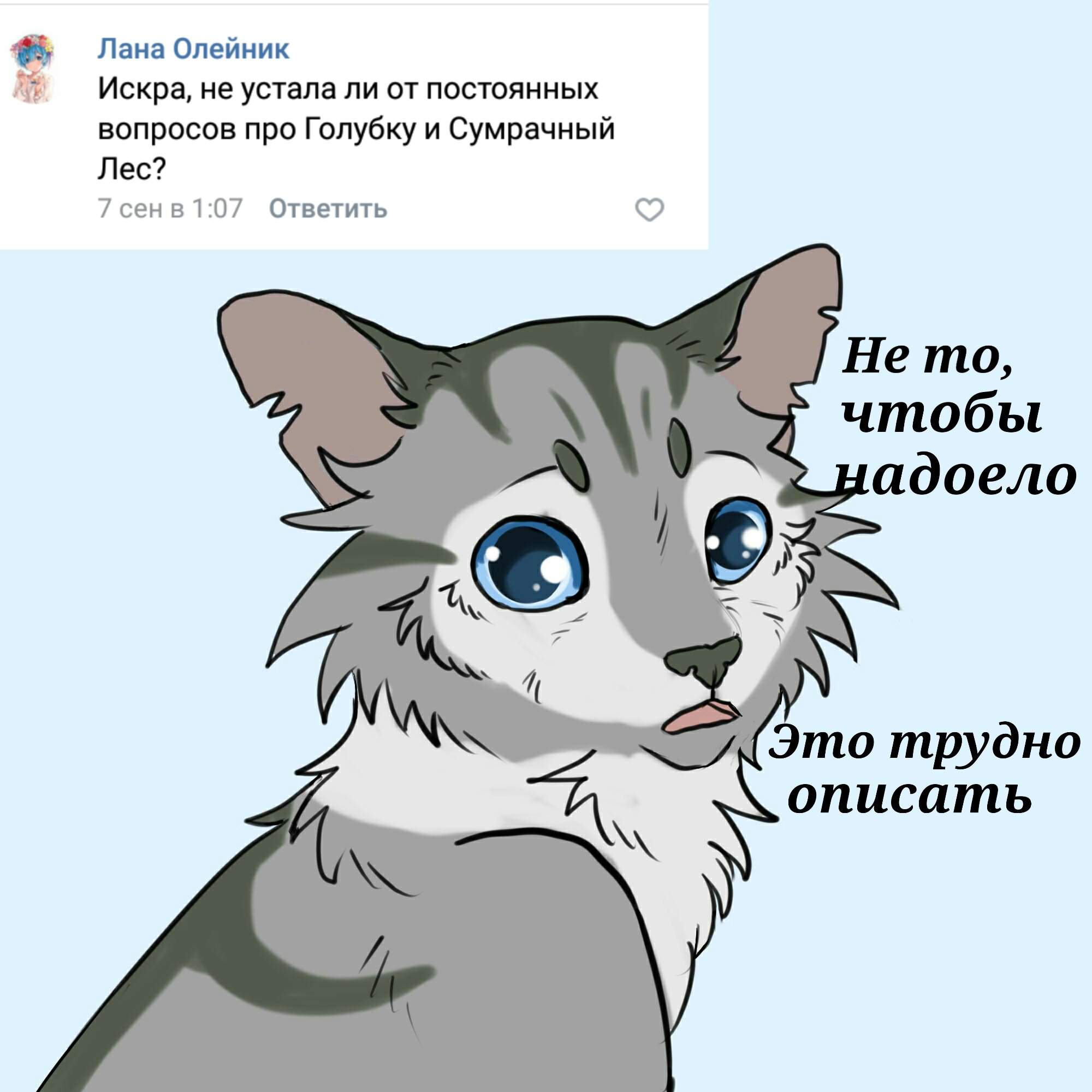 Мемы про котов воителей