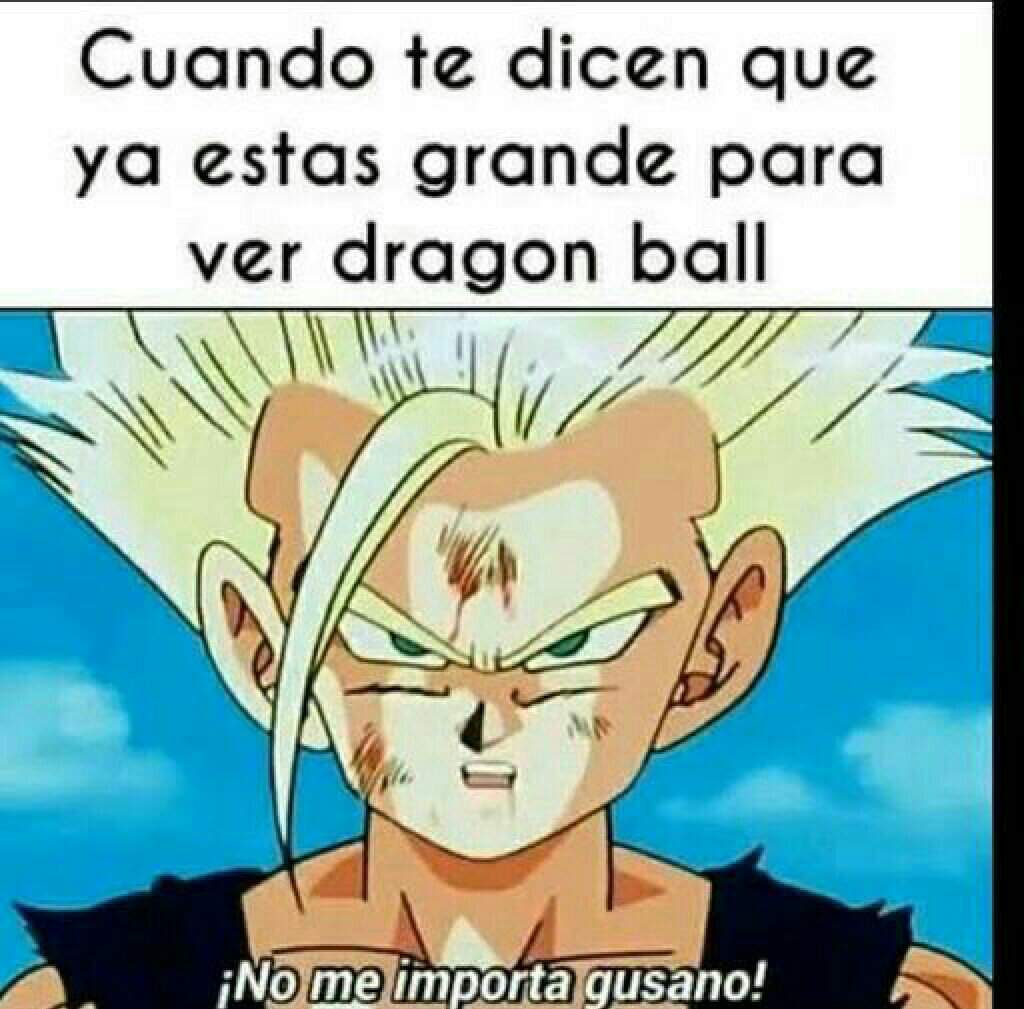 Ya Una Decada Viendo Esta Mierda V Dragon Ball EspaÑol Amino