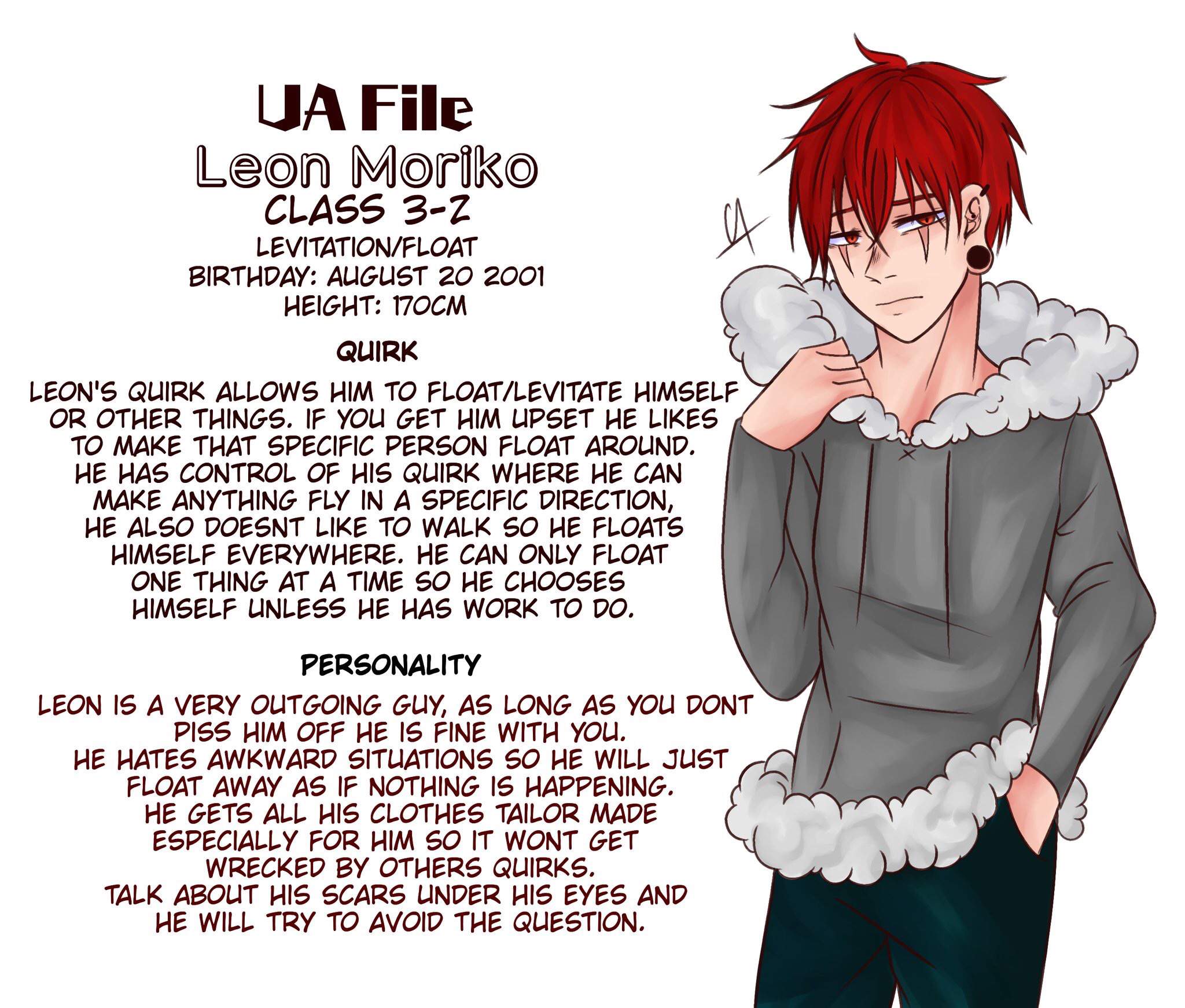 Bnha OC profiles | My Hero Academia Amino