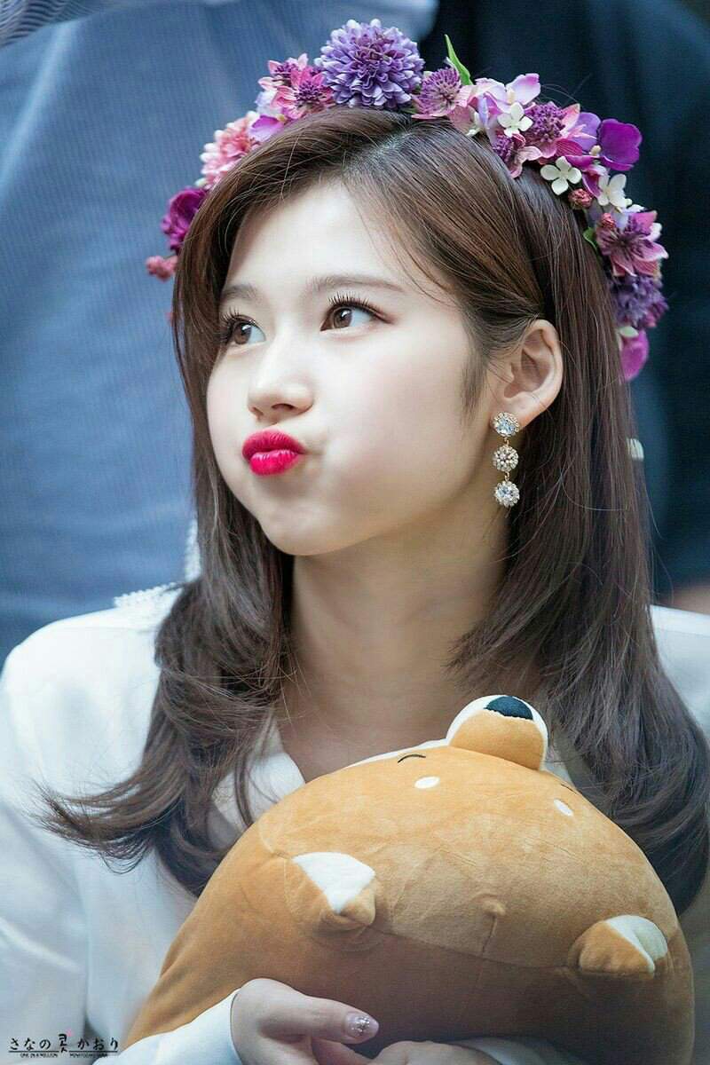 Sana♡ | Wiki | •Twice Amino• Amino