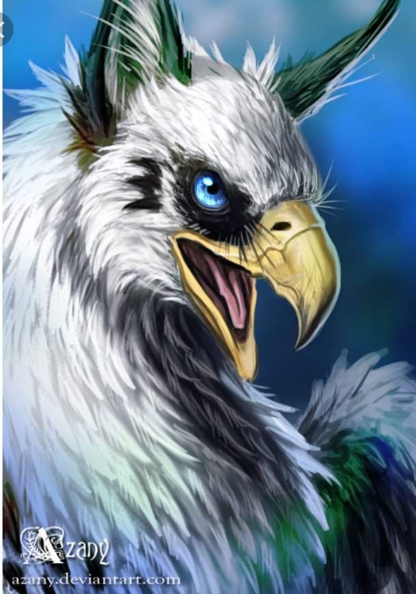 Белый | Wiki | Фурри {Rus} Amino