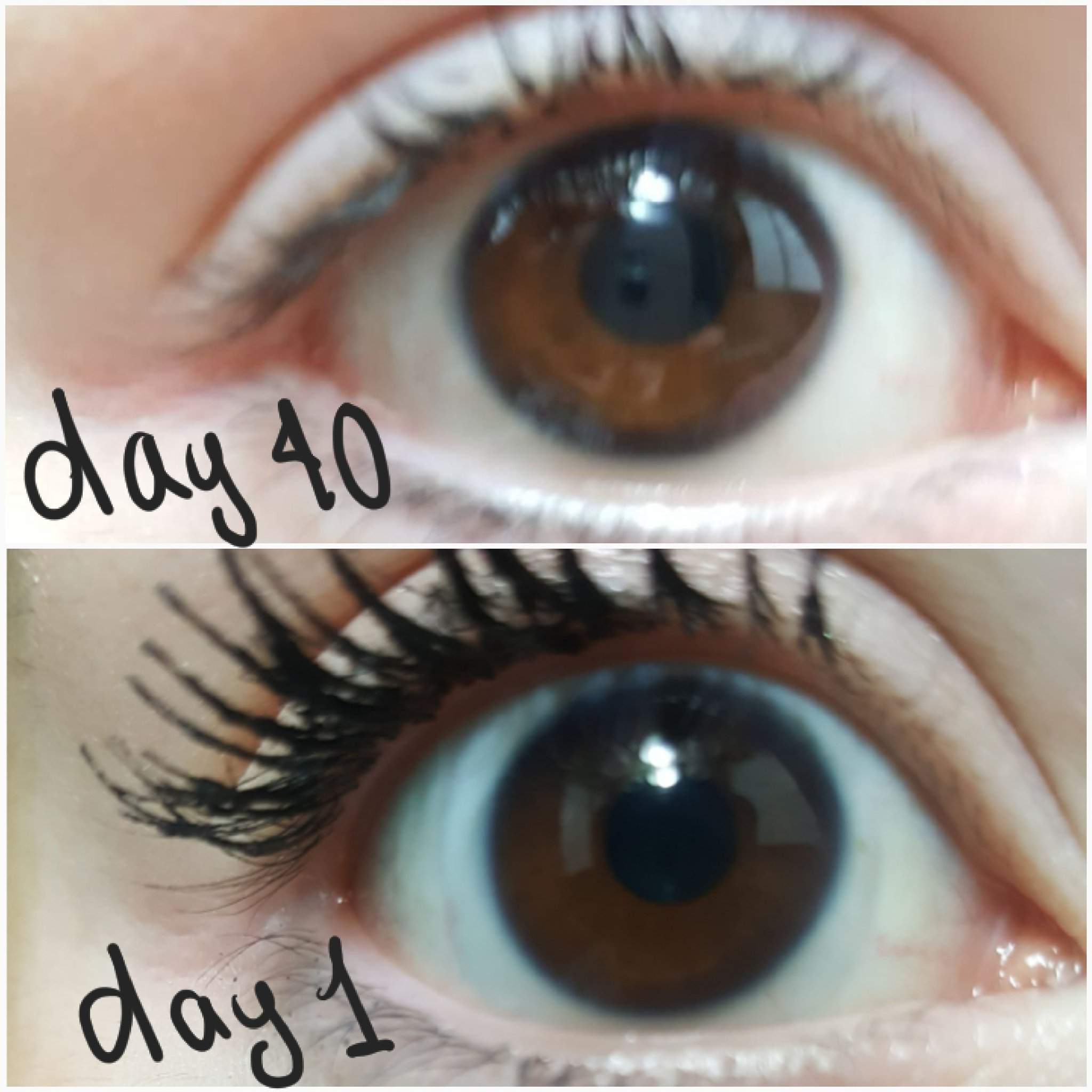 Results: Eye Color Subliminal Users Amino.