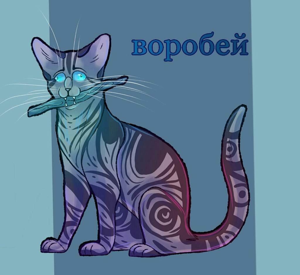 Картинки коты воители воробей