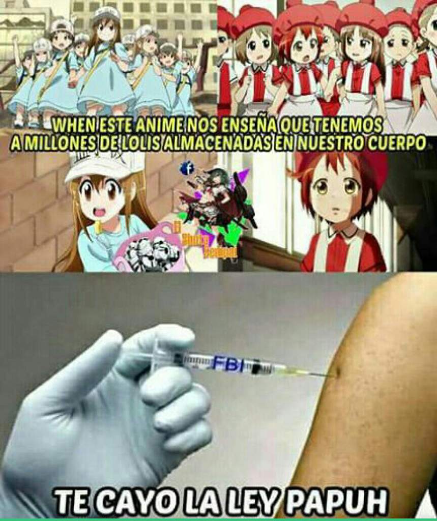 La Hora De Los Memes V Anime Amino