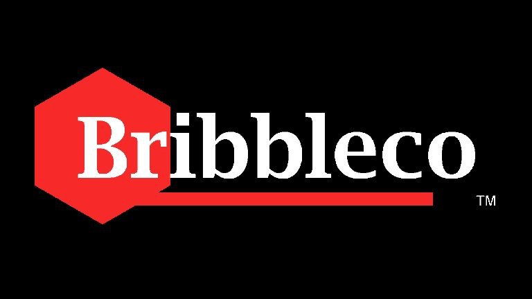 Bribbleco Official Employee Handbook Janitor Roblox Amino