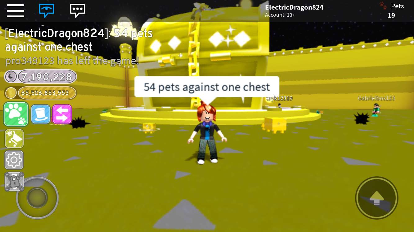 54 Pets Versus 1 Chest In Pet Sim Roblox Amino
