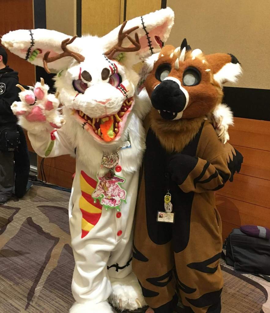 Furry Convention Orlando - qjtf7n9