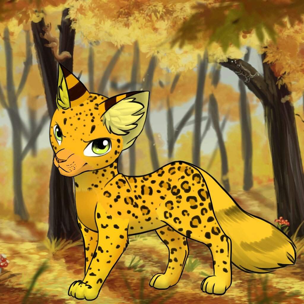 Анкеточка | Wiki | Коти–Вояки [Укр] Amino