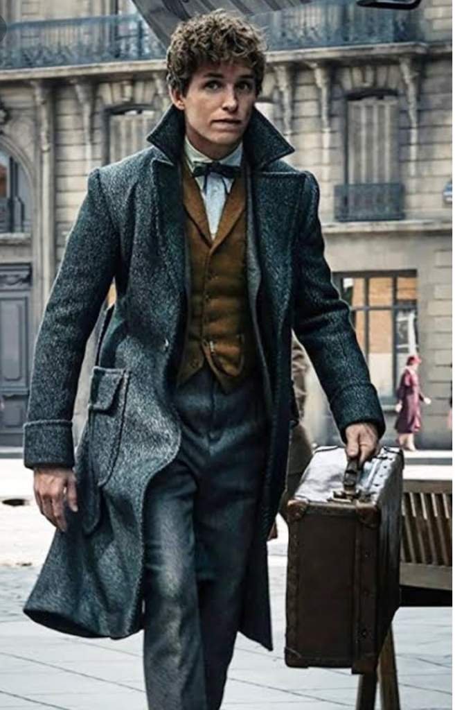 Newt Scamander Wiki Fantastic Beasts! Amino