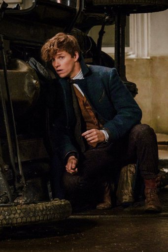 Newton Scamander | Wiki | Willkommen In Hogwarts Amino