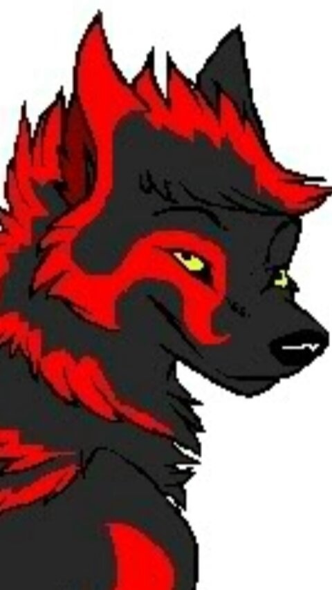 ✨ Sparrow ✨ Wiki Wolf Song Amino. 