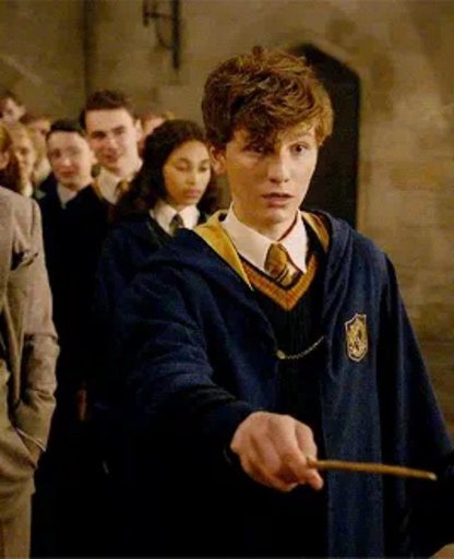 Newton Scamander Wiki Willkommen In Hogwarts Amino 3082