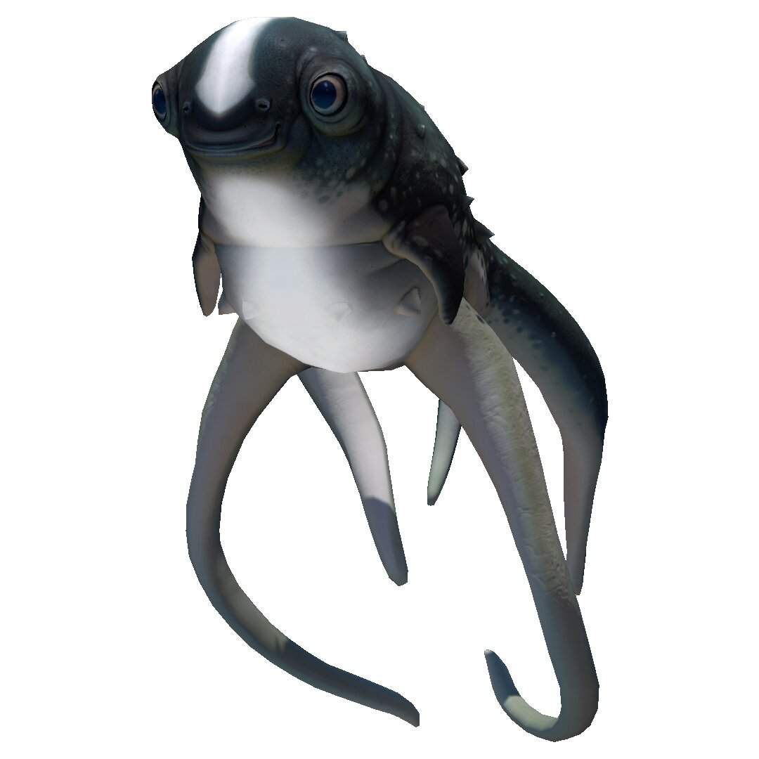 Cuddlefish Evolved Wiki Subnautica💧 Amino