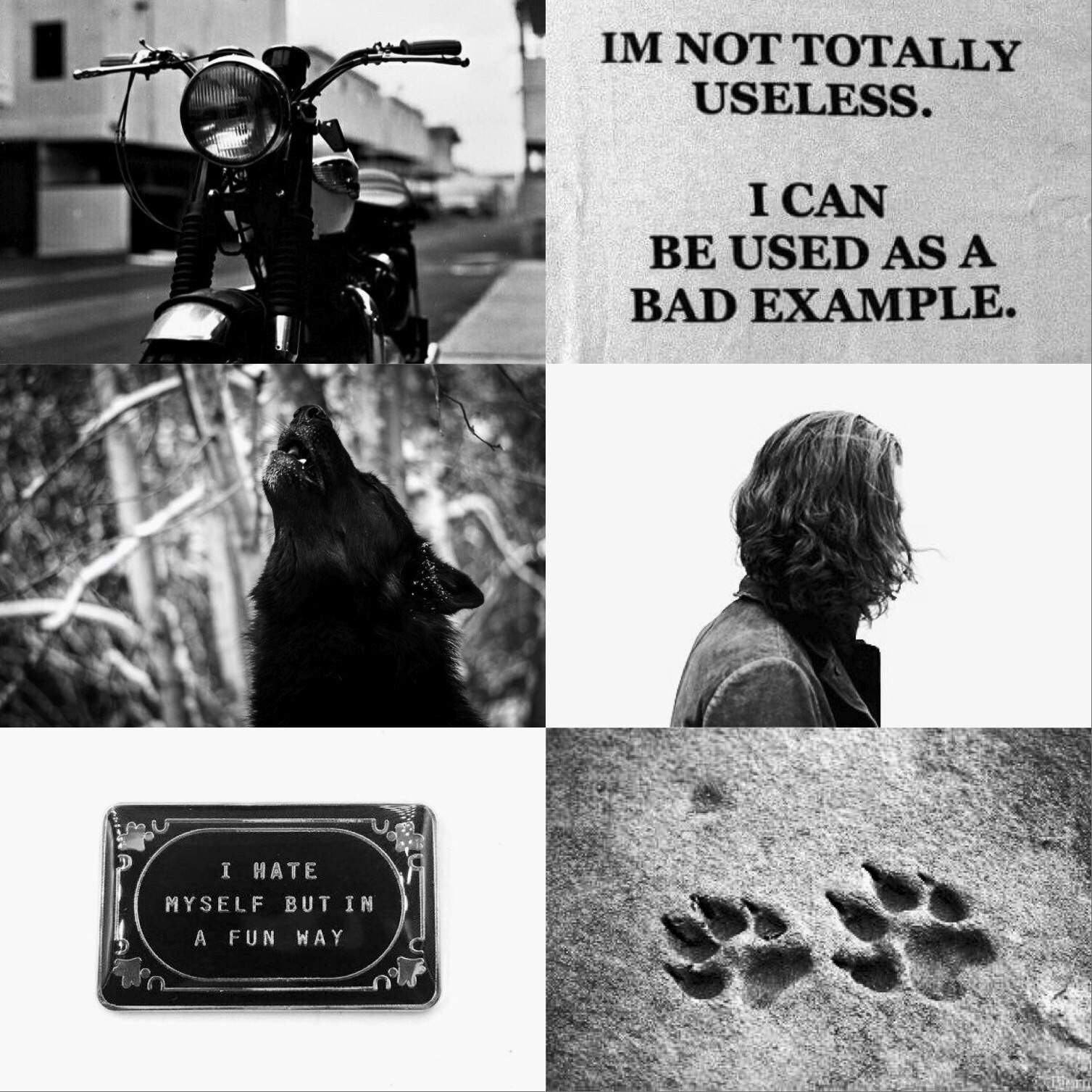 Sirius Black Aesthetic Board Harry Potter Amino