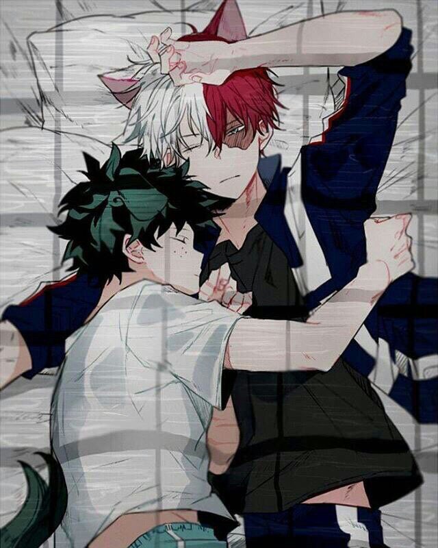 Yaoi Neko