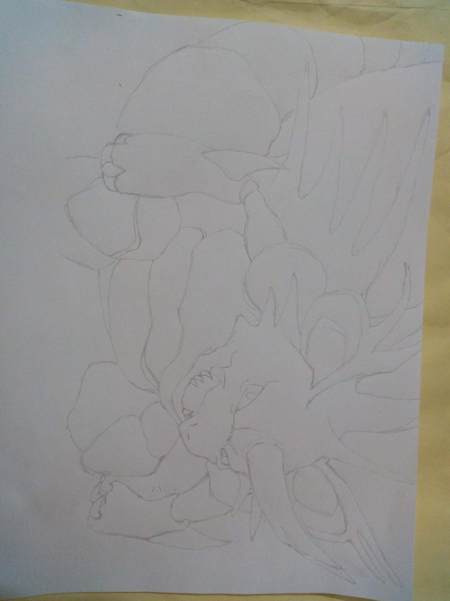 Boceto nocturno Pokémon En Español Amino