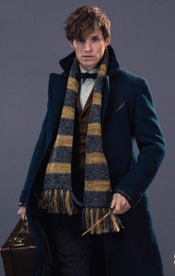 Newt Scamander Wiki Harry Potter Amino