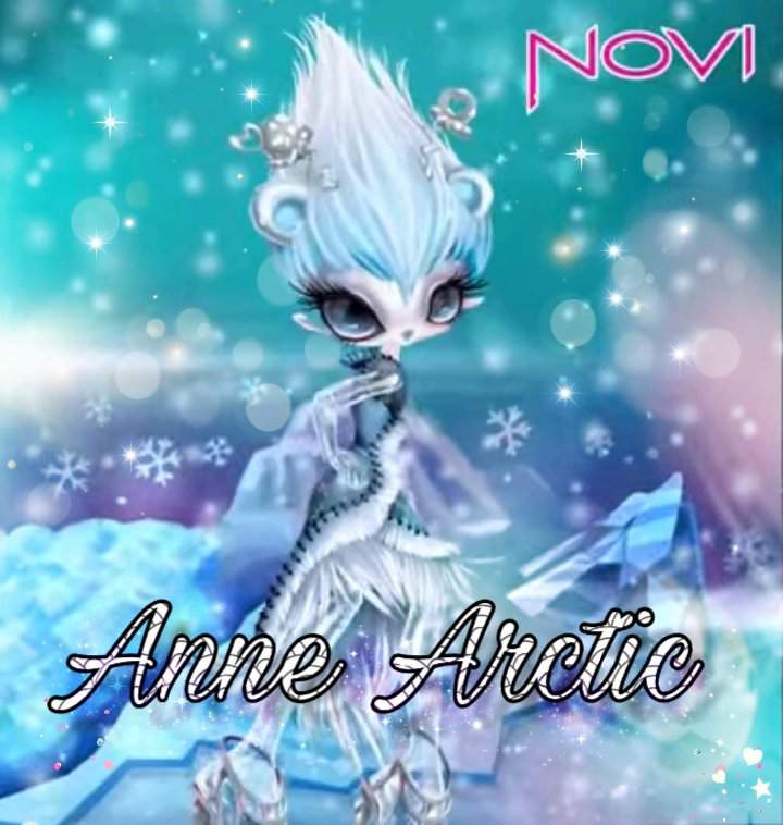 novi stars anne arctic