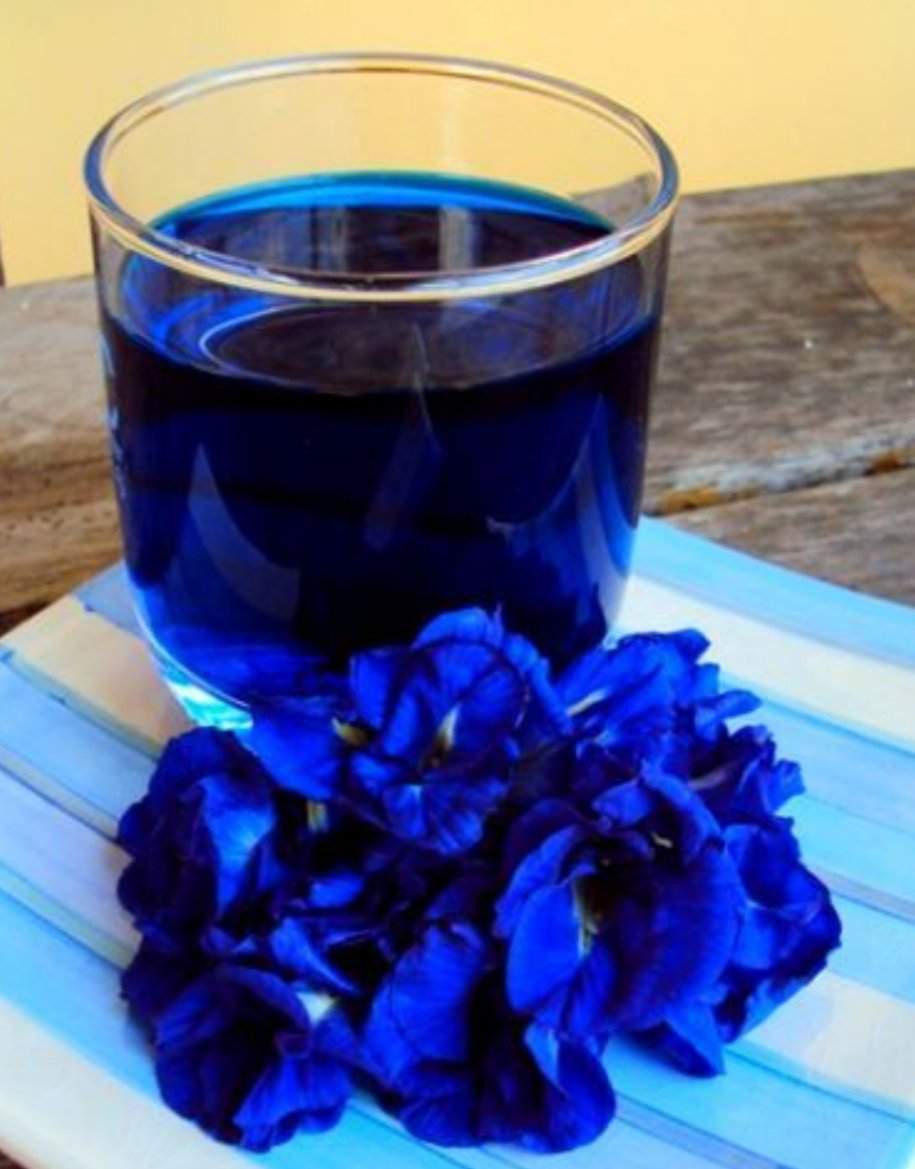 Анчан синий цветок