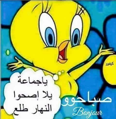 نعسانه والله Famiℓu Nsiyeu Amino