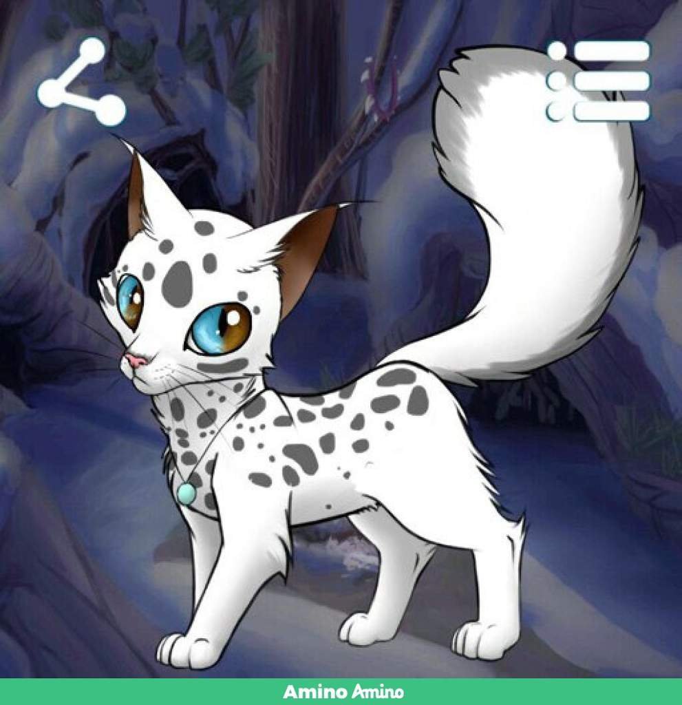 Лунная | Wiki | Коты-Воители | Ролевая Amino