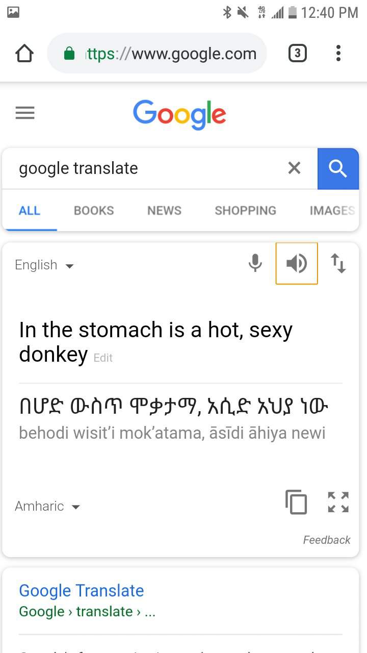 translate amharic to english google