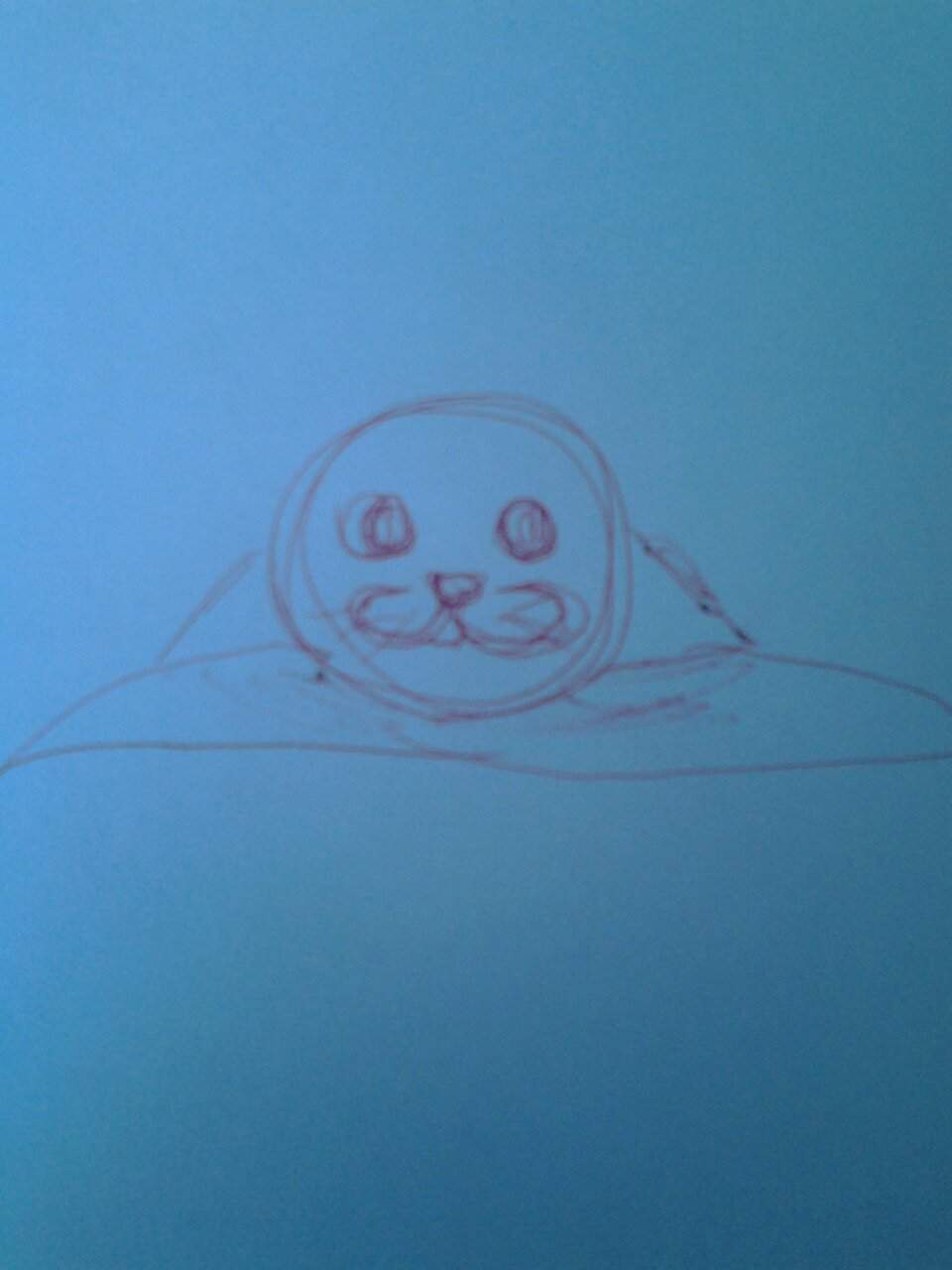 Лёгкие рисунки тюленей для начинающих