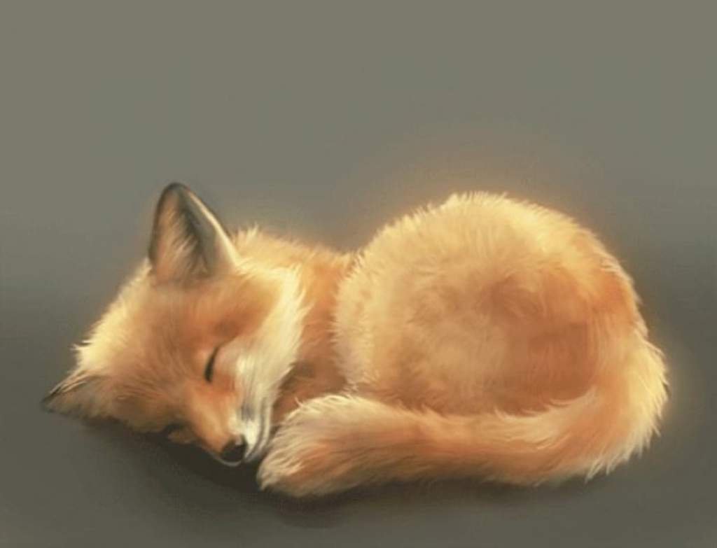 ★Красивые закорючки★ | Wiki | Мuρ Лucов Amino
