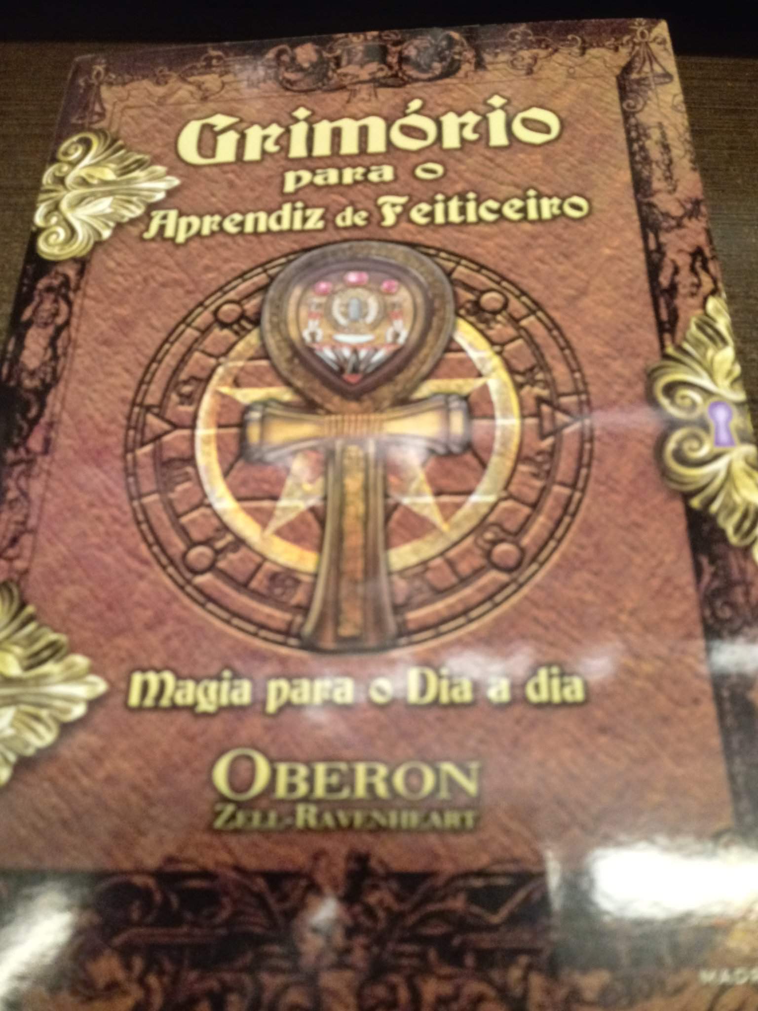 grimorio para aprendiz de feiticeiro pdf 142