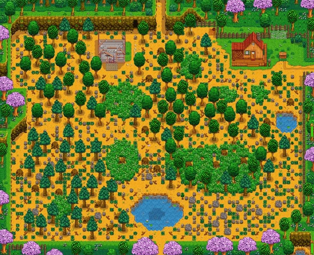 stardew farm layout forest