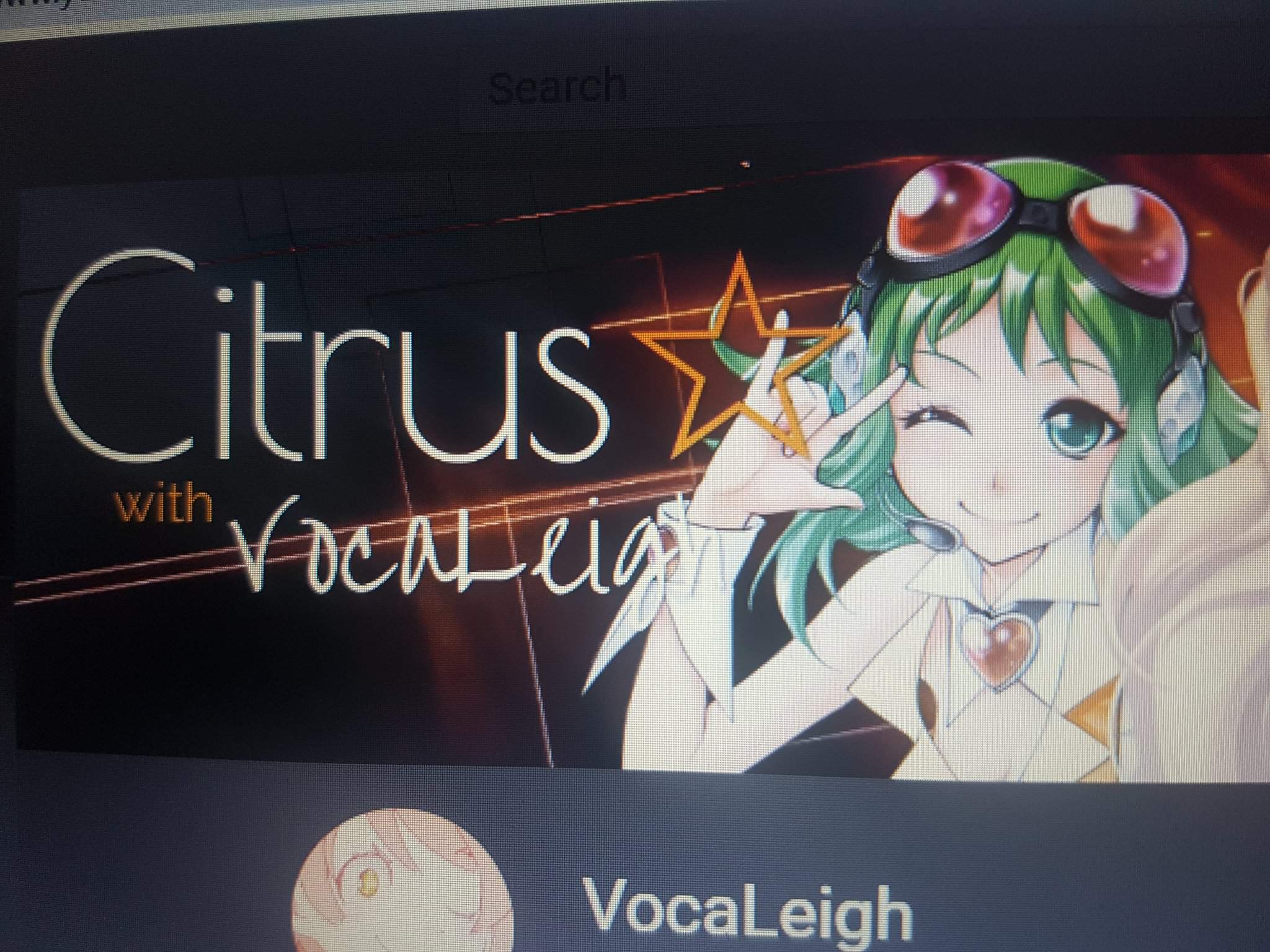 does-a-youtube-banner-make-it-official-vocaloid-amino