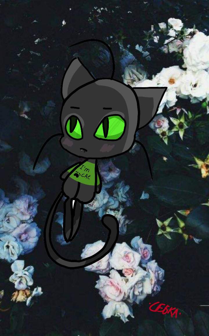 🖤Арт Плагга 🖤 🐞Леди Баг И Пикси Гёрл🌷 Amino 