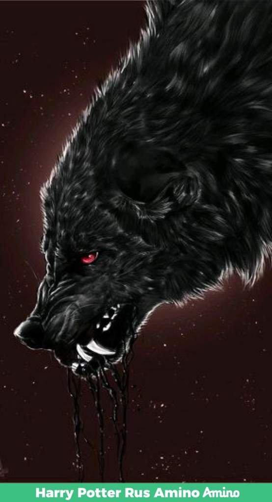 Анкета | Wiki | Волки|Ролевая Amino