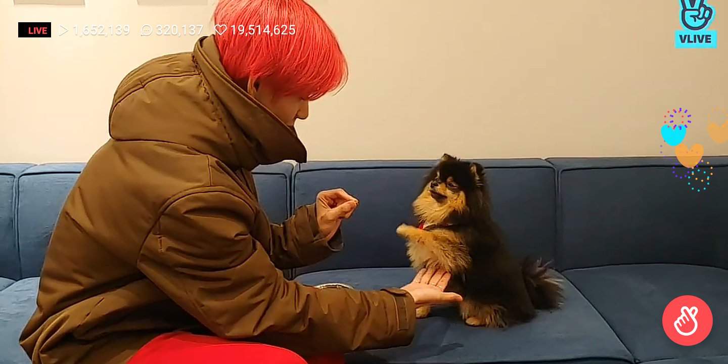 Yeontan y Tae en Vlive | Taehyung Oficial 🐯 Amino