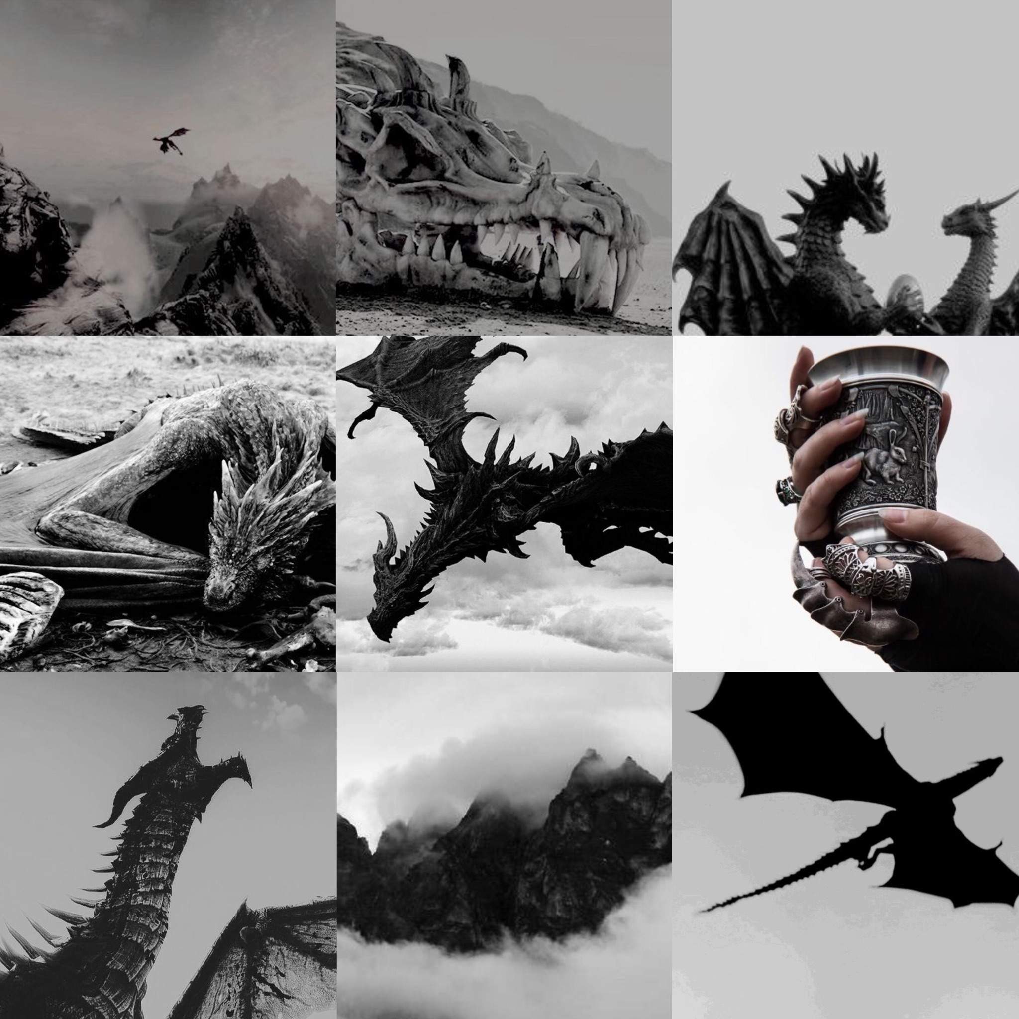 Dragon Aesthetic Aesthetic World Amino