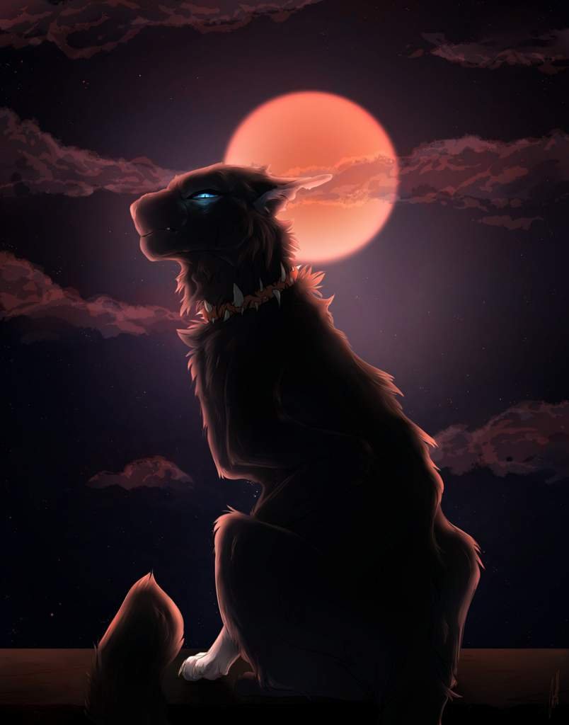 Бич | Коты Воители😺•° Amino